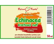 Echinacea (szyszka) korzeń kwitnący (Dusza roślin krople - nalewka) 50 ml