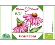 Echinacea purpurea BIO - krople ziołowe (nalewka) 50 ml