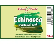 Echinacea (szyszka) nić kwitnąca (krople ziołowe - nalewka) 50 ml