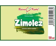 Wiciokrzew (TCM) - krople ziołowe (nalewka) 50 ml