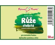 Róża Centifolia - krople ziołowe (nalewka) 50 ml