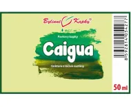 Caigua - krople ziołowe (nalewka) 50 ml