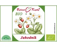 Liść Truskawki + Kwiat BIO - krople ziołowe (nalewka) 50 ml