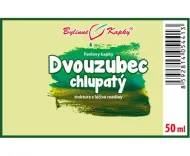 Dwuzębny owłosiony (piłokształtny) - krople ziołowe (nalewka) 50 ml