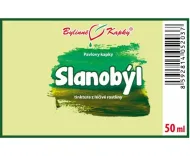 Slanobyl - krople ziołowe (nalewka) 50 ml