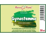 Gynostemma (gynostemma, jiaogulan) (TCM) - krople ziołowe (nalewka) 50 ml