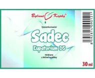 Sadzonka D5 (Eupatorium) - krople fitoinformacyjne (nalewka) 30 ml