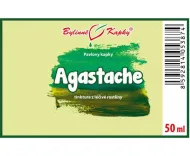 Agastache - krople ziołowe (nalewka) 50 ml