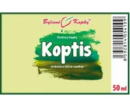 Koptis (TCM) - krople ziołowe (nalewka z koptis) 50 ml