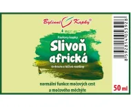 Śliwa Afrykańska (Prunus africana syn. Pygeum africanum) - krople ziołowe (nalewka) 50 ml