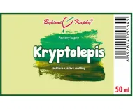 Kryptolepis (Cryptolepis) - krople ziołowe (nalewka) 50 ml