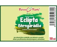 Eclipta (Eklipta - Bhrngaradža) krople ziołowe (nalewka) 50 ml