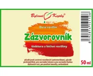 Imbir (imbir) - krople Dusza roślin (nalewka) 50 ml