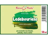 Ledebouriela (TCM) - krople ziołowe (nalewka) 50 ml