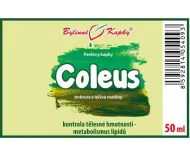 Coleus - krople ziołowe (nalewka) 50 ml