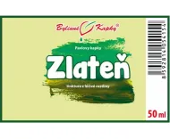 Zlateň (chryzantema) - krople ziołowe (nalewka) 50 ml