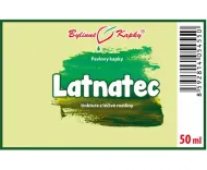 Latnatec - krople ziołowe (nalewka) 50 ml