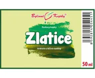 Zlatice (TCM) - krople ziołowe (nalewka) 50 ml