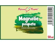 Pąki magnolii (TCM) - krople ziołowe (nalewka) 50 ml