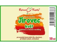 Kwiat skrzypu polnego - krople Dusza roślin (nalewka) 50 ml