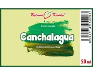 Canchalagua - krople ziołowe (nalewka) 50 ml