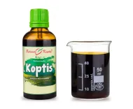 Koptis (TCM) - krople ziołowe (nalewka z koptis) 50 ml