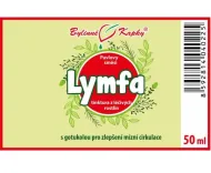 Limfa - krople ziołowe (nalewka) 50 ml