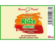 Róża Centifolia - krople Dusza roślin (nalewka) 50 ml