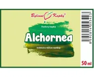 Alchornea - krople ziołowe (nalewka) 50 ml