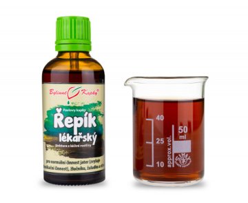 Rzepak - krople ziołowe (nalewka) 50 ml