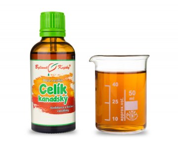 Celik (złota roślina) kanadyjski - krople Dusza roślin (nalewka) 50 ml