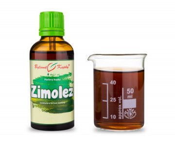 Wiciokrzew (TCM) - krople ziołowe (nalewka) 50 ml