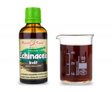 Kwiat Echinacei (krople ziołowe - nalewka) 50 ml