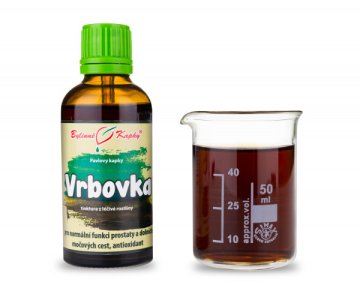 Wierzba - krople ziołowe (nalewka) 50 ml