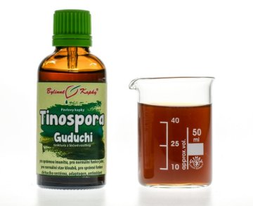 Tinospora (chleb w kształcie serca, Guduchi) - ziołowe krople (nalewka z tinospory) 50 ml