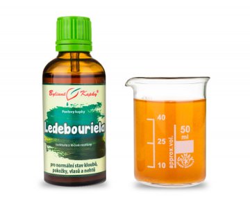 Ledebouriela (TCM) - krople ziołowe (nalewka) 50 ml