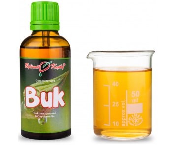 Buk - nalewka z pąków (gemmoterapia) 50 ml