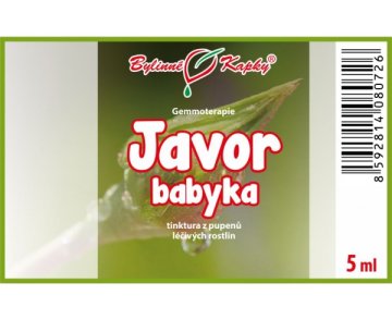 Klon babyka - nalewka z pąków 5 ml - gemmoterapia