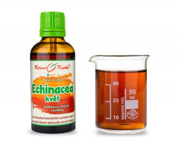 Echinacea kwiat (Krople dusza roślin - nalewka) 50 ml