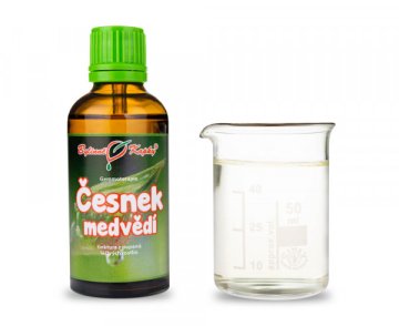 Czosnek niedźwiedzi - nalewka z pąków (gemmoterapia) 50 ml