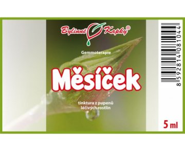 Nagietek - nalewka z pączków 5 ml - gemmoterapia