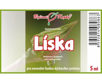 Leszczyna - nalewka z pąków 5 ml - gemmoterapia