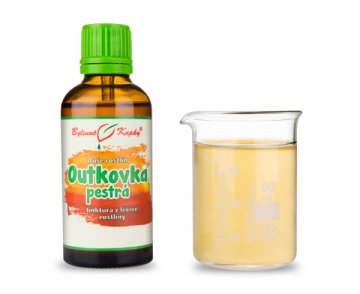 Wrośniak różnobarwny (Coriolus) - krople Dusza roślin (nalewka) 50 ml