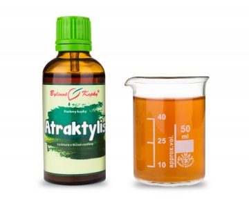 Atraktylis (TCM) - krople ziołowe (nalewka) 50 ml