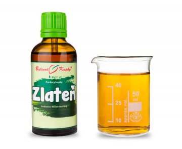 Zlateň (chryzantema) - krople ziołowe (nalewka) 50 ml