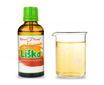 Lis rudy - krople Dusza roślin (nalewka) 50 ml