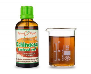 Echinacea (szyszka) korzeń kwitnący (Dusza roślin krople - nalewka) 50 ml