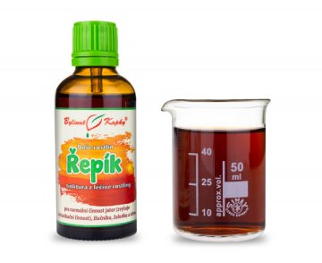 Rzepak - krople Dusza roślin (nalewka) 50 ml