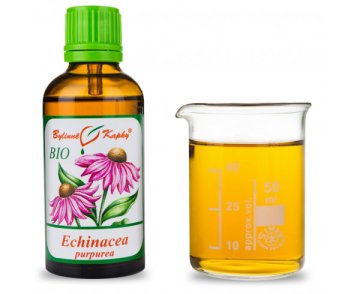 Echinacea purpurea BIO - krople ziołowe (nalewka) 50 ml